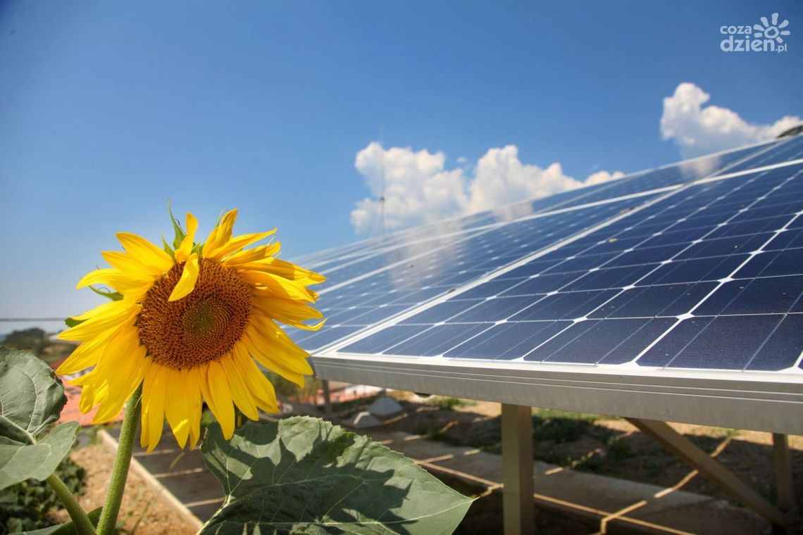 Jak uzyskać dotacje do fotowoltaiki?