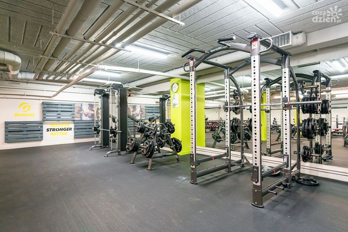 Jak wybrać najlepsze maszyny izotoniczne do siłowni?