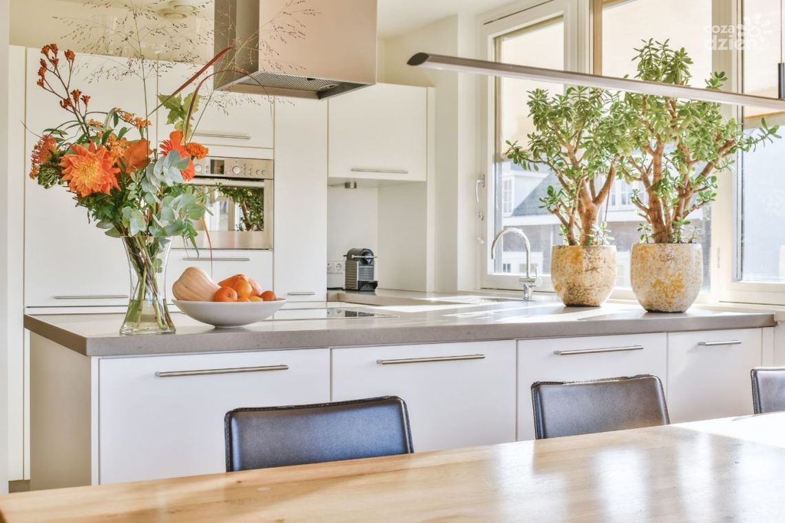 Jak wybrać plakaty do kuchni – inspiracje na wyciągnięcie ręki Jak wybrać plakaty do kuchni – inspiracje na wyciągnięcie ręki