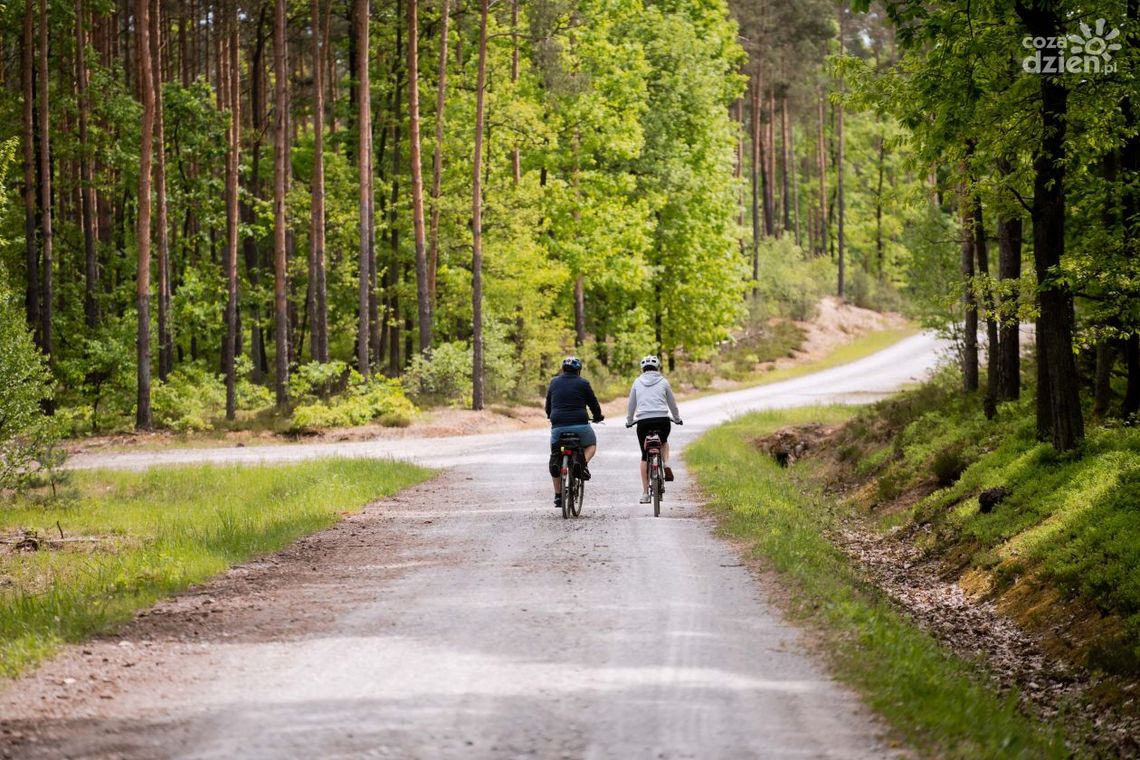 Jak wygląda trasa Co Za Jazda! Jedlnia-Letnisko?