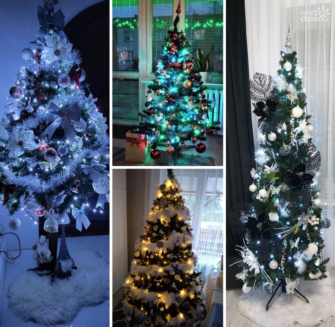 Jak wyglądają wasze choinki? Zobaczcie! Jak wyglądają wasze choinki? Zobaczcie!