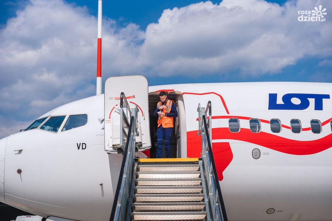 Jak znaleźć tanie loty?