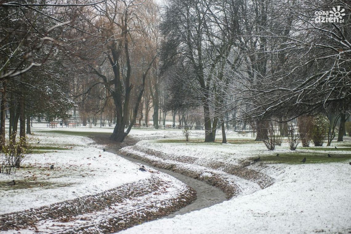 Jaka pogoda na święta?
