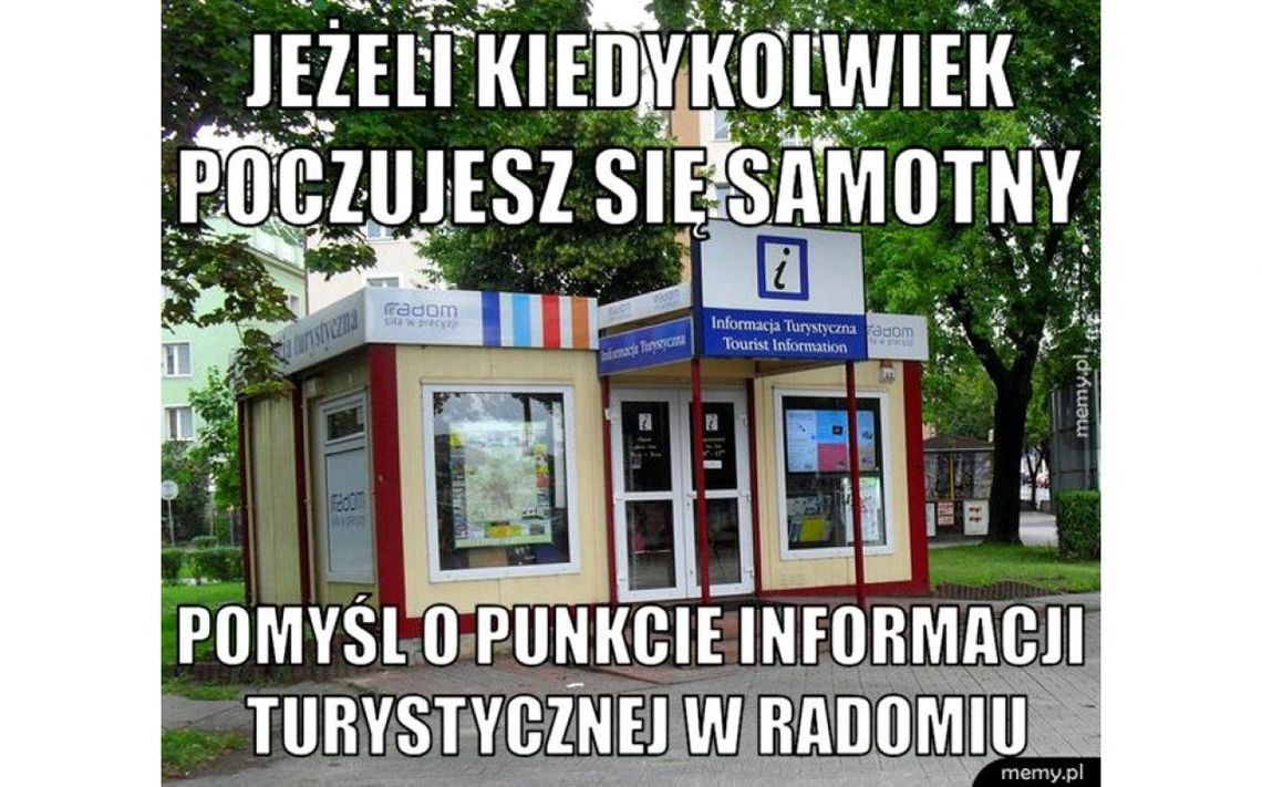 Jaki Radom zobaczyliśmy i co ma żubr do tego? Felieton