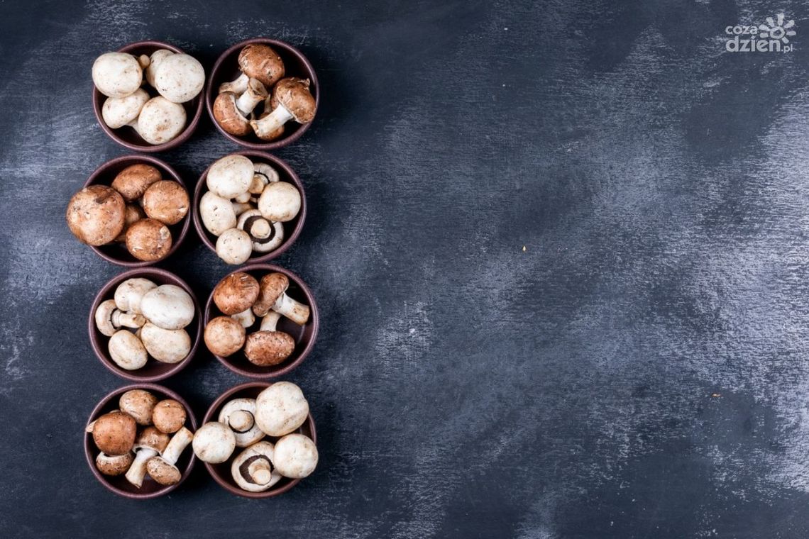 Jaki wózek do zbioru pieczarek i co warto wiedzieć przed zakupem?