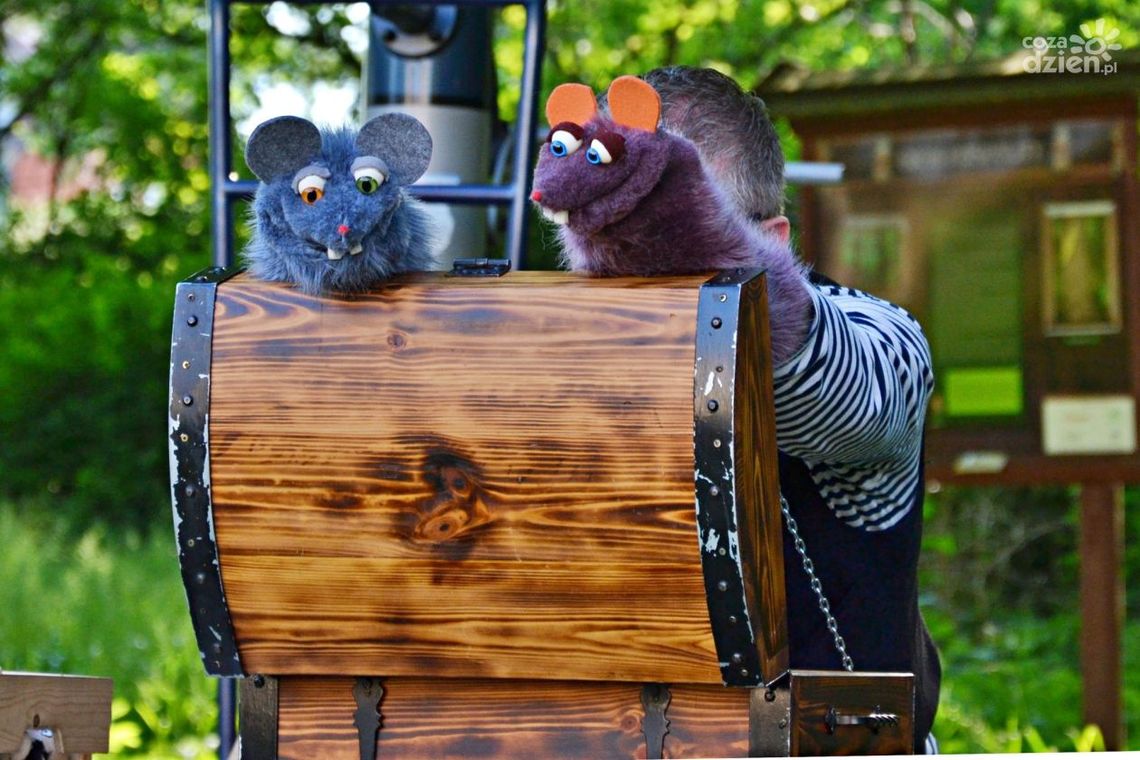 Jakie atrakcje w weekend?