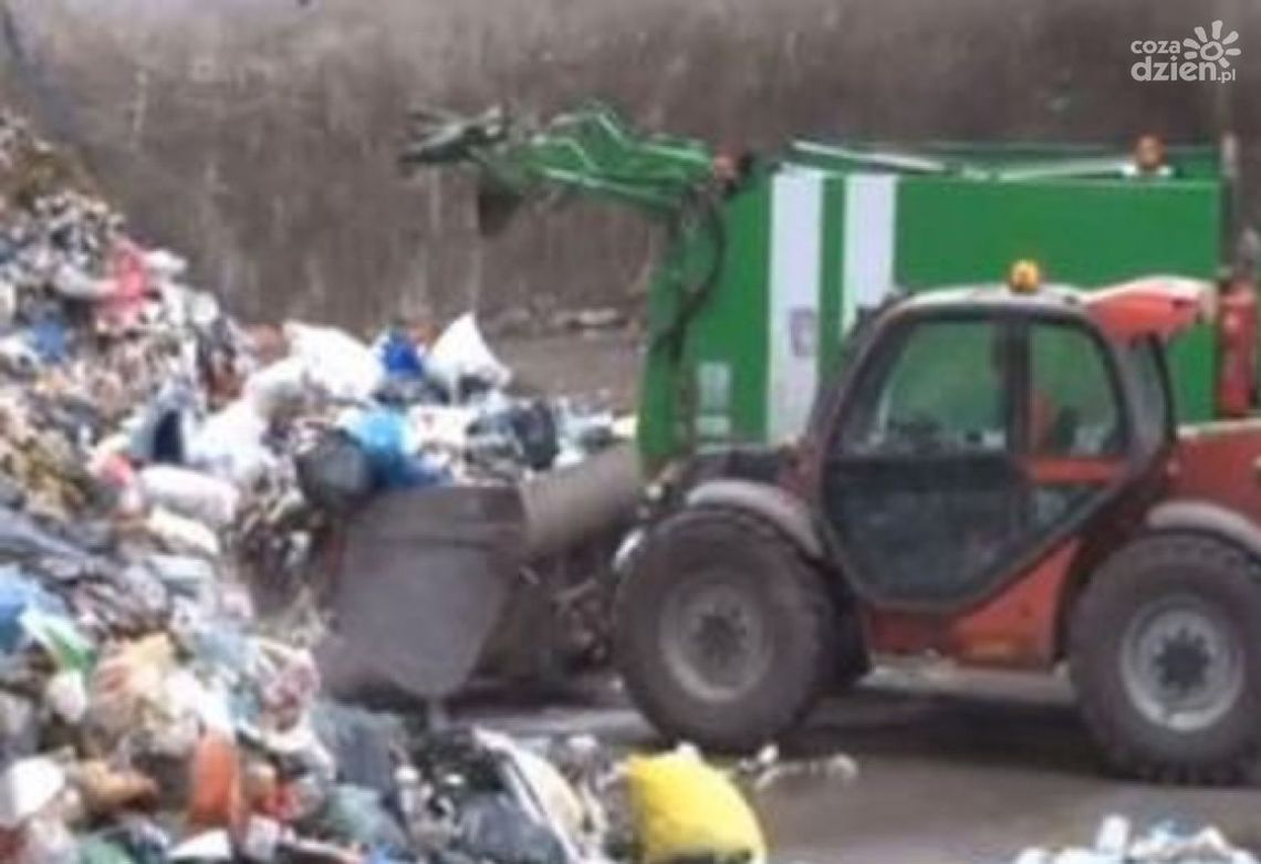 Jakie firmy odbiorą nasze śmieci?