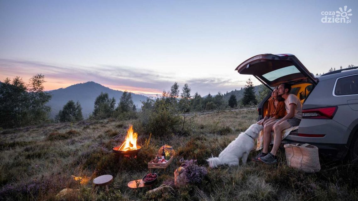 Jakie plany na urlop w Polsce? Jakie plany na urlop w Polsce?