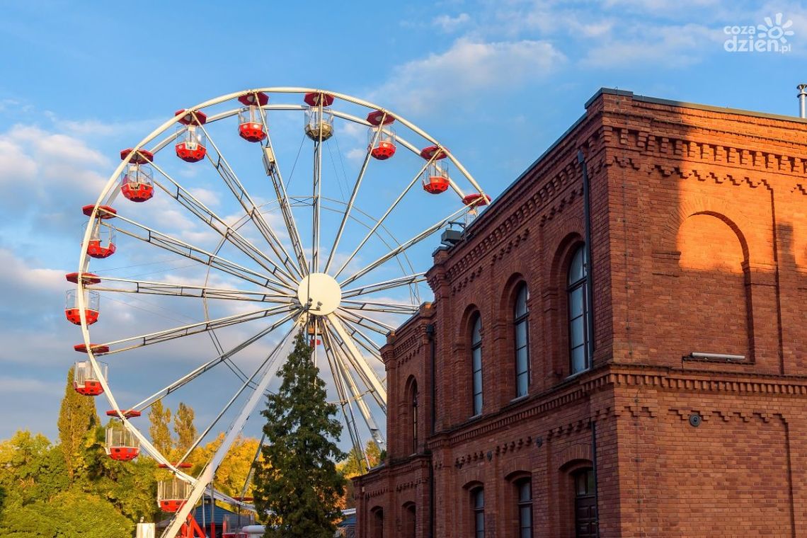 Jakie są korzyści z wyboru profesjonalnej firmy do wywozu odpadów w Łodzi? Jakie są korzyści z wyboru profesjonalnej firmy do wywozu odpadów w Łodzi?