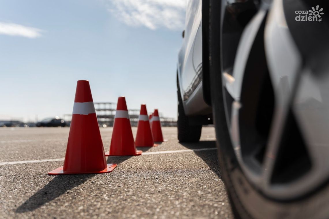 Jakie są rodzaje pachołków drogowych?