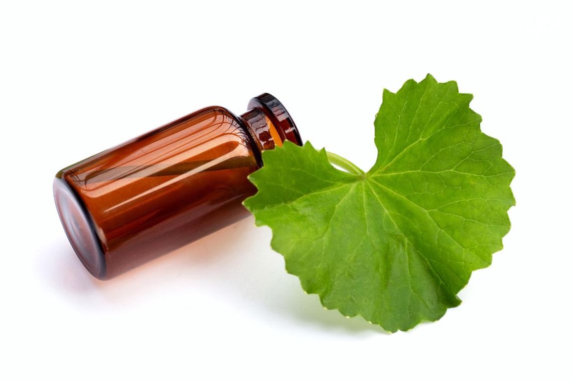 Jakie zastosowanie ma gotu kola? Czy posiada właściwości przeciwzapalne?