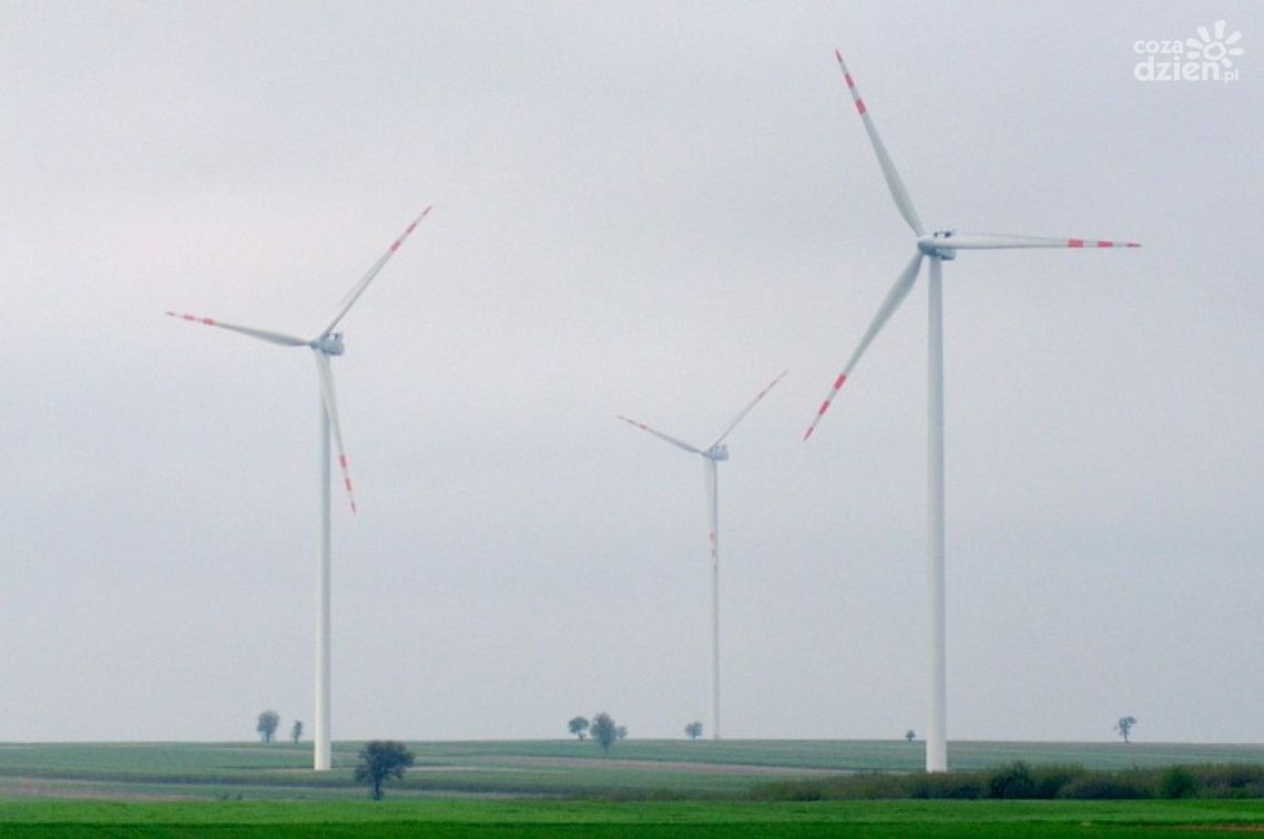 Jedlińsk. Wojna domowa o wiatraki? Jedlińsk. Wojna domowa o wiatraki?