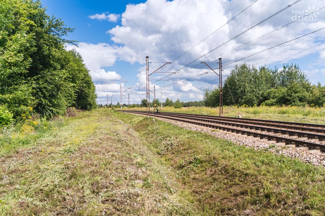 Jedlnia-Letnisko. Śmiertelne potrącenie przez pociąg