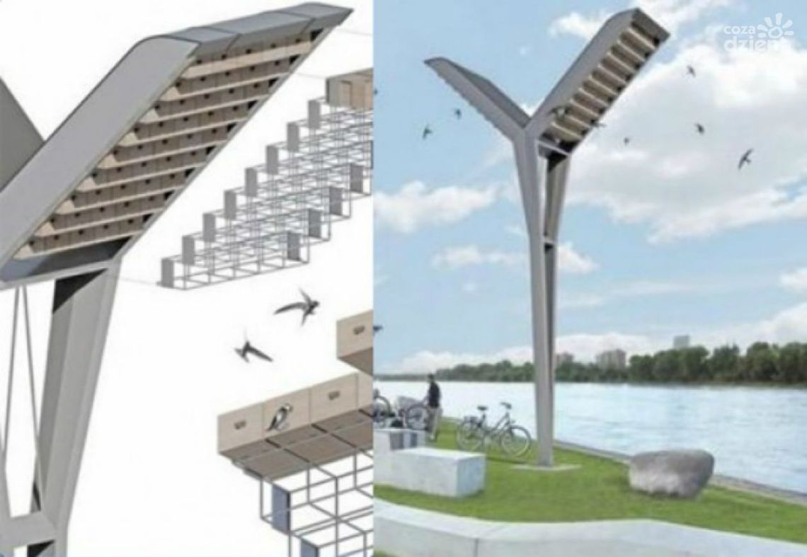 Jerzykowe wieże na podium