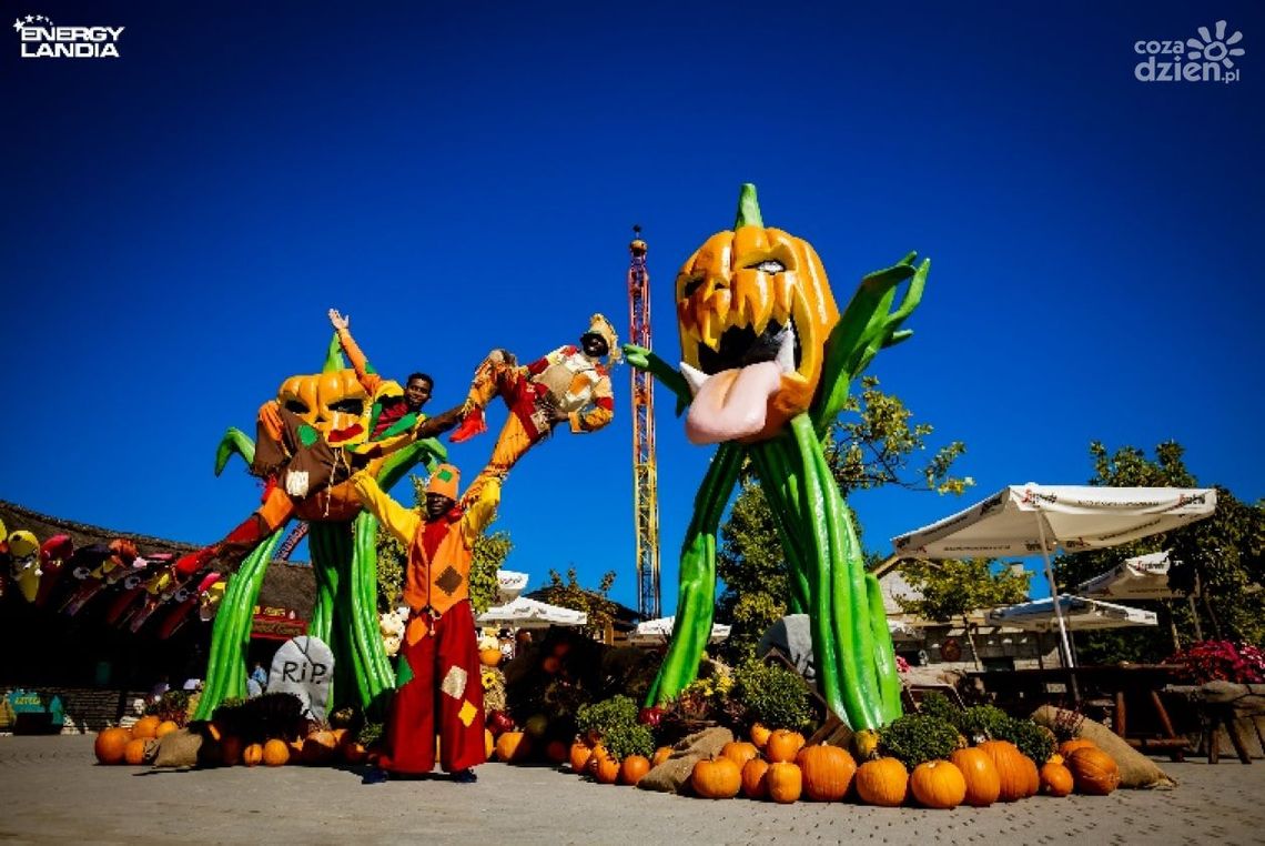 Jesienne szaleństwo w Energylandii