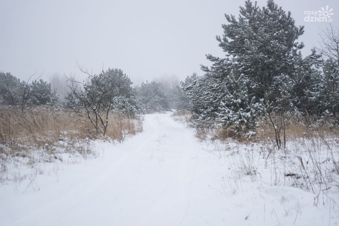 Jest taka ulica: dr. Zbigniewa Golby 
