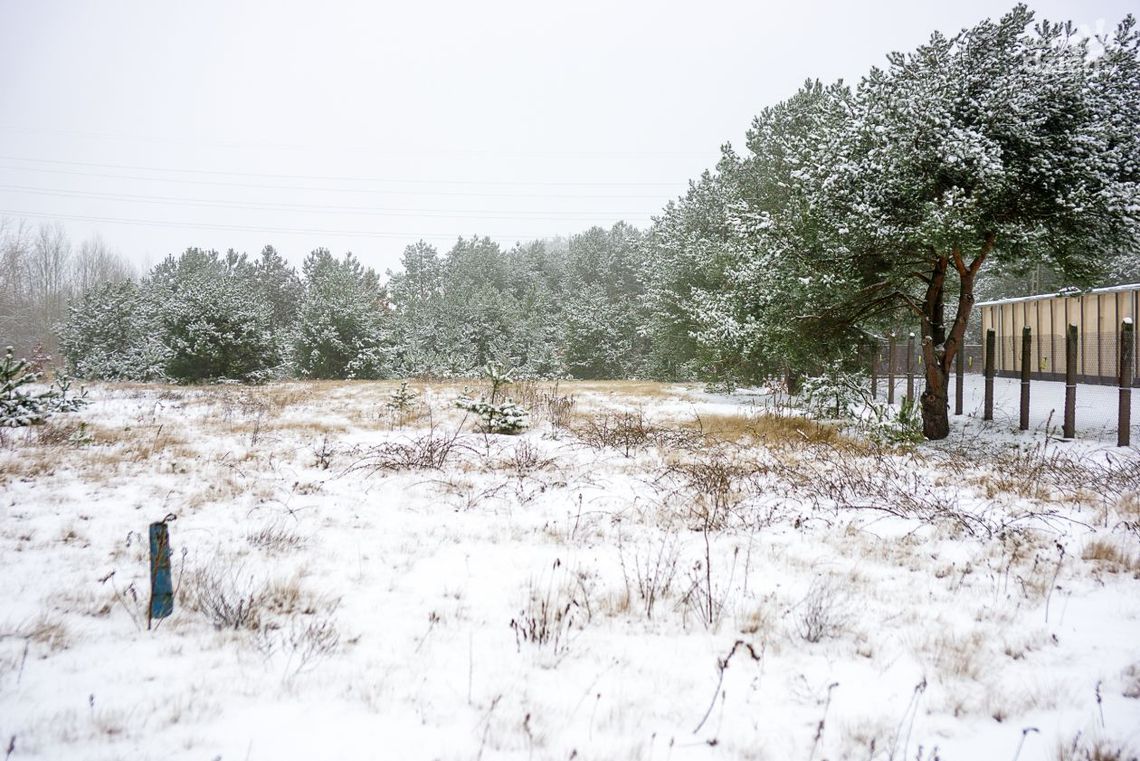 Jest taka ulica. Teresy Grodzińskiej