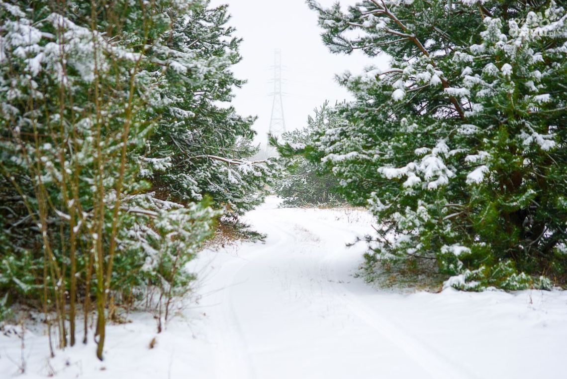 Jest taka ulica. Witolda Dąbkowskiego
