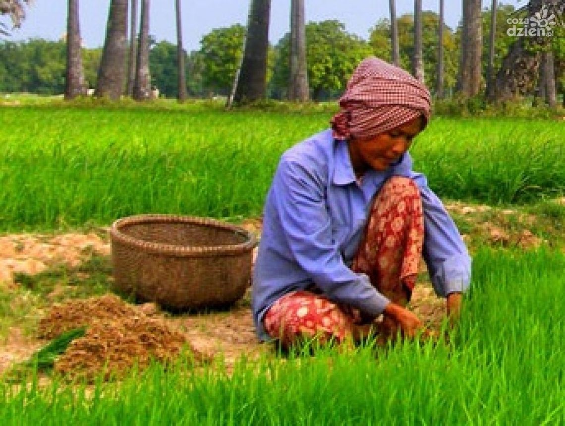 Kambodża i Tajlandia - poszukiwanie zaginionych świątyń