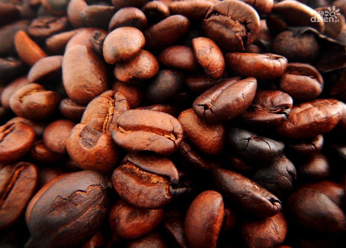 Kawa - dlaczego warto kupić ją w lokalnej palarni?