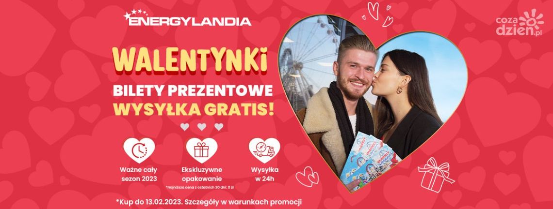 Kiedy i co najczęściej kupujemy przez internet? Okazje i święta nas motywują!