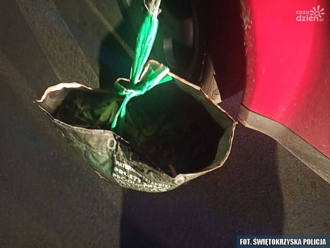 Kierowca pod wpływem narkotyków zatrzymany przez policję