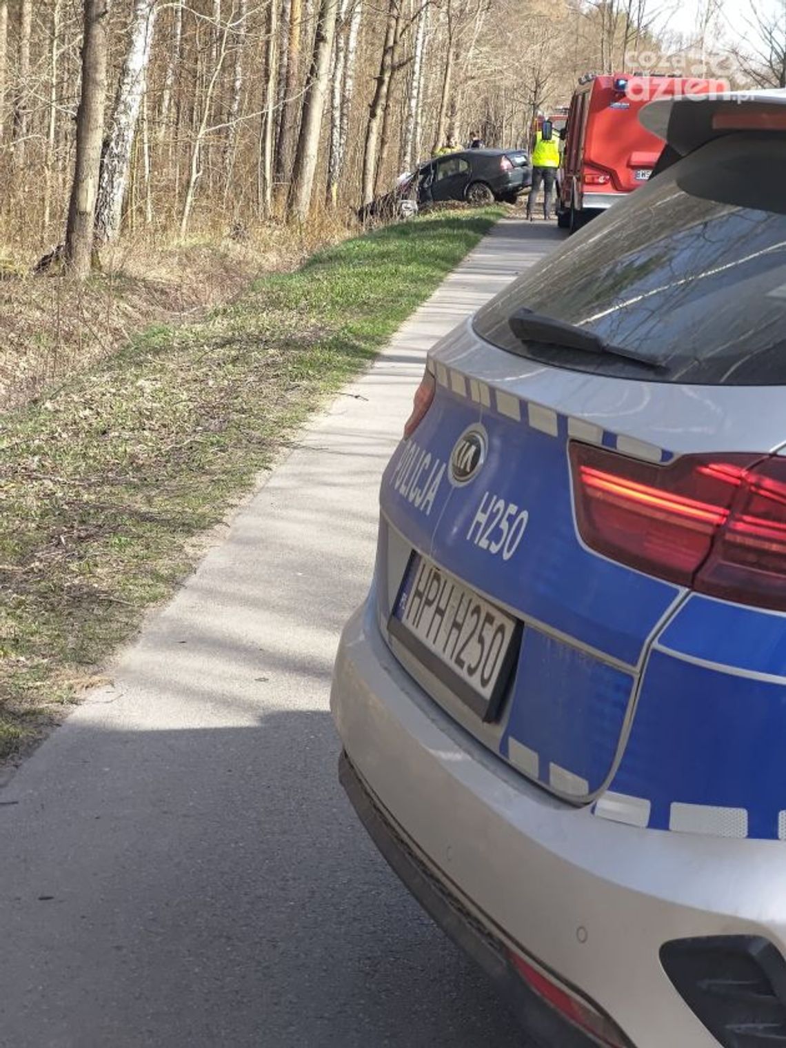 Kierowca uderzył w drzewo, zginął na miejscu