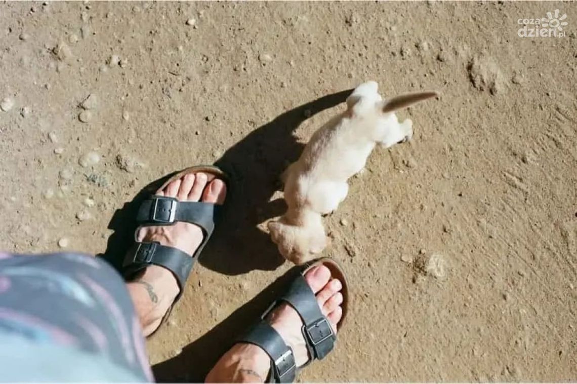 Klapki ortopedyczne – jakie wybrać? Klapki ortopedyczne – jakie wybrać?