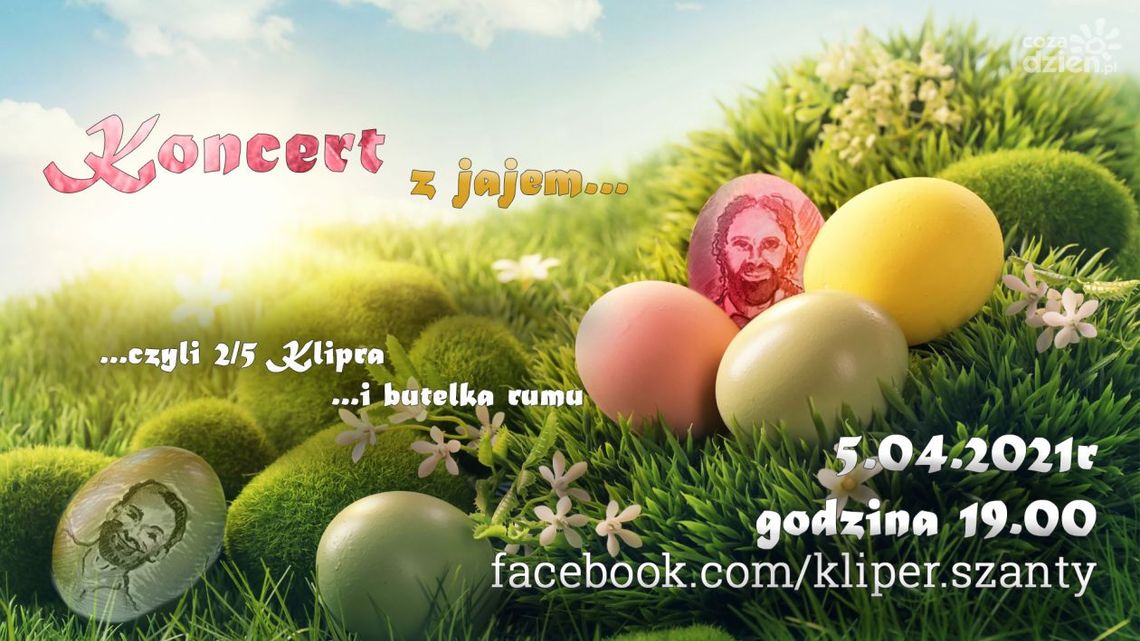 Kliper z jajem, czyli koncert online radomskiego zespołu