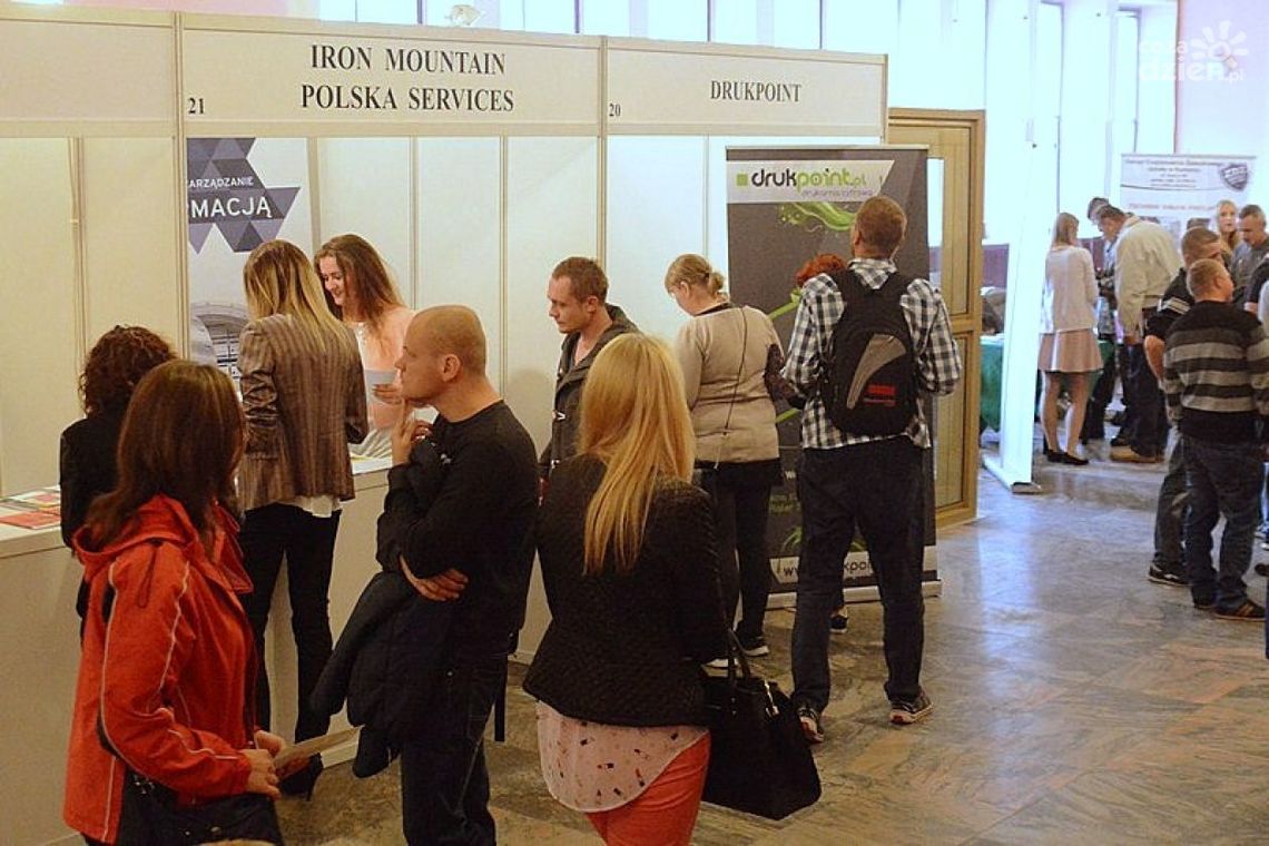 KOGO SZUKANO NA XII TARGACH PRACY?