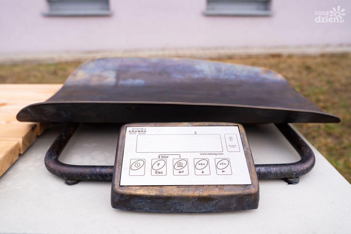 Kolejna rzeźba na szlaku symboli Radomia Kolejna rzeźba na szlaku symboli Radomia