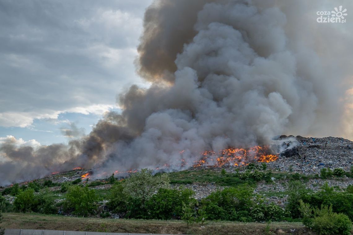 Kolejny pożar na wysypisku na Wincentowie
