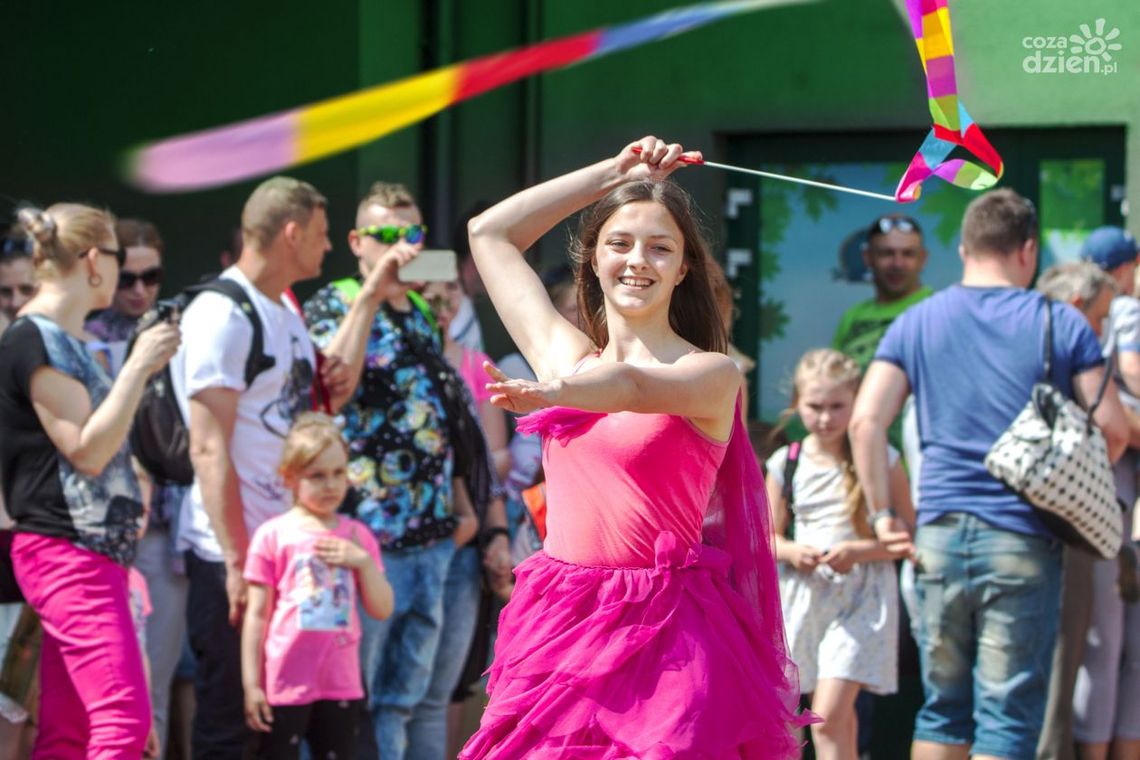 Kolorowy Ogród Wróżek Smużek