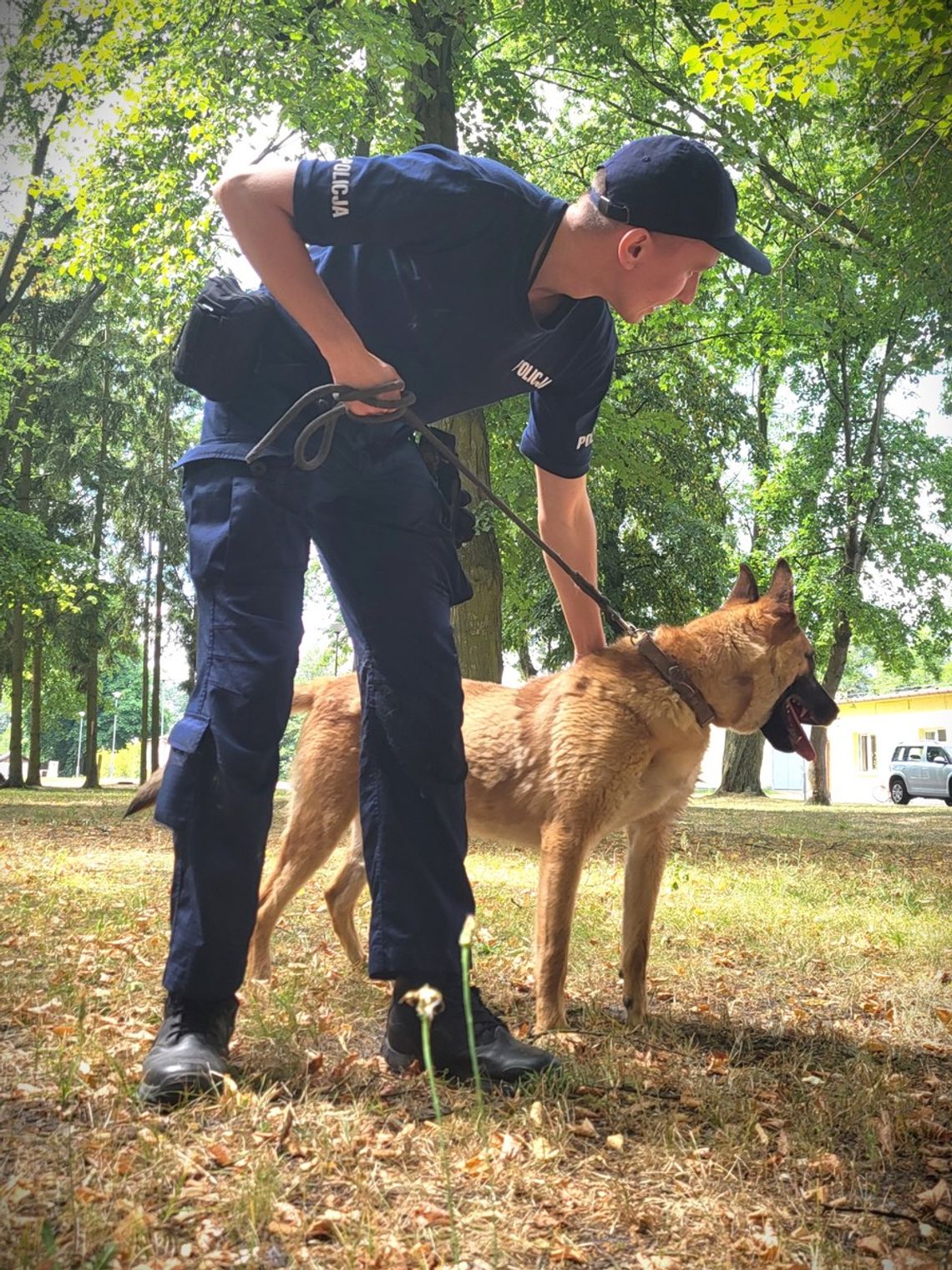 Komenda Miejska Policji w Radomiu z kolejnym zwierzęciem służbowym. Kupiono rocznego psa