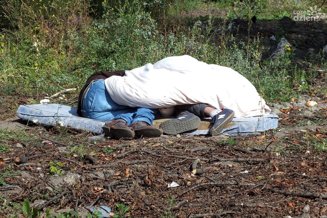 Kompleks dla bezdomnych. Znamy projektanta