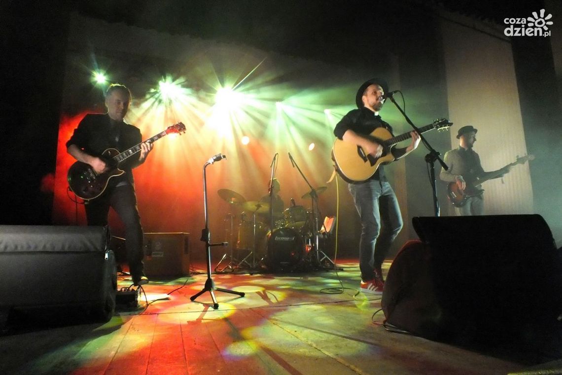 Koncert Pawła Domagały