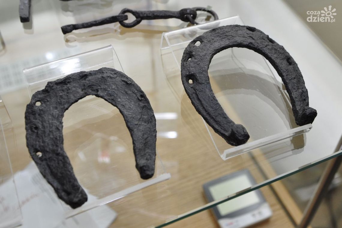 Konferencja naukowa na temat Piotrówki - ZOBACZ PROGRAM