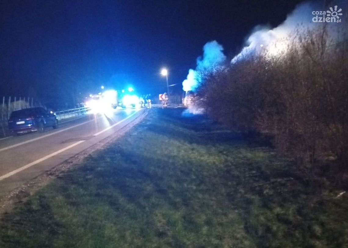 Konie. Pożar busa na DK50