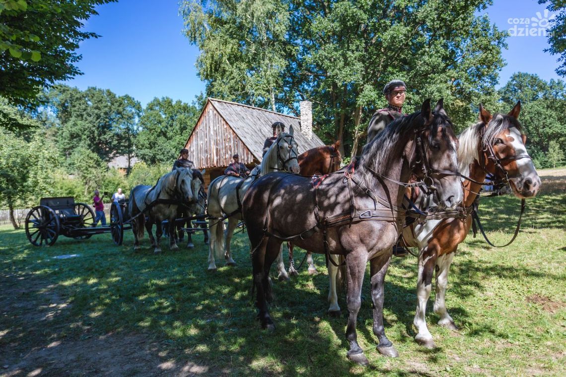 Konie w roli głównej. Za nami festyn rodzinny w Muzeum Wsi Radomskiej