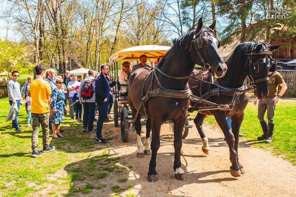 Koniem po skansenie i nie tylko 