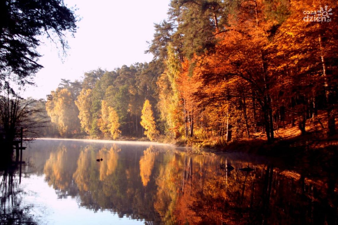 Konkurs fotograficzny „Magia krajobrazu”