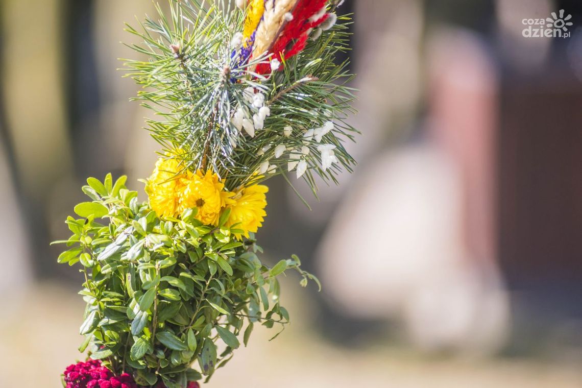 Konkurs na palmę wielkanocną