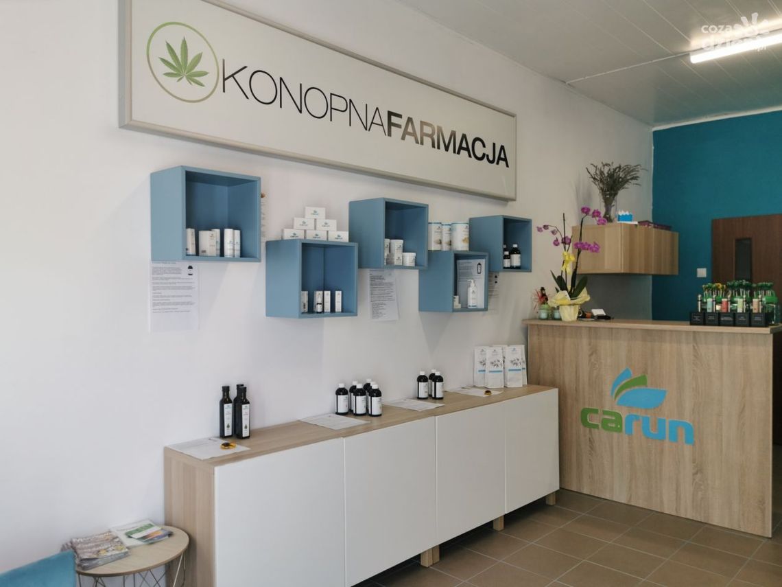 Konopie na zdrowie i odporność