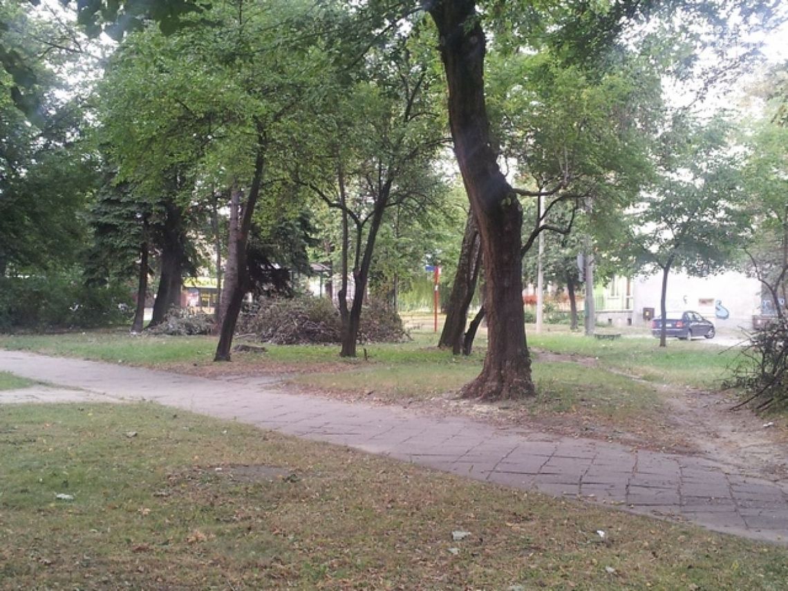 Konserwator Przyrody w Radomiu