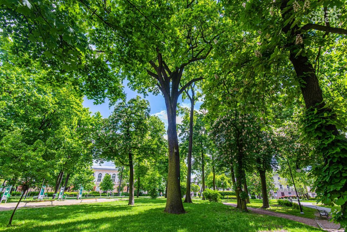 Konsultacje społeczne przedłużone