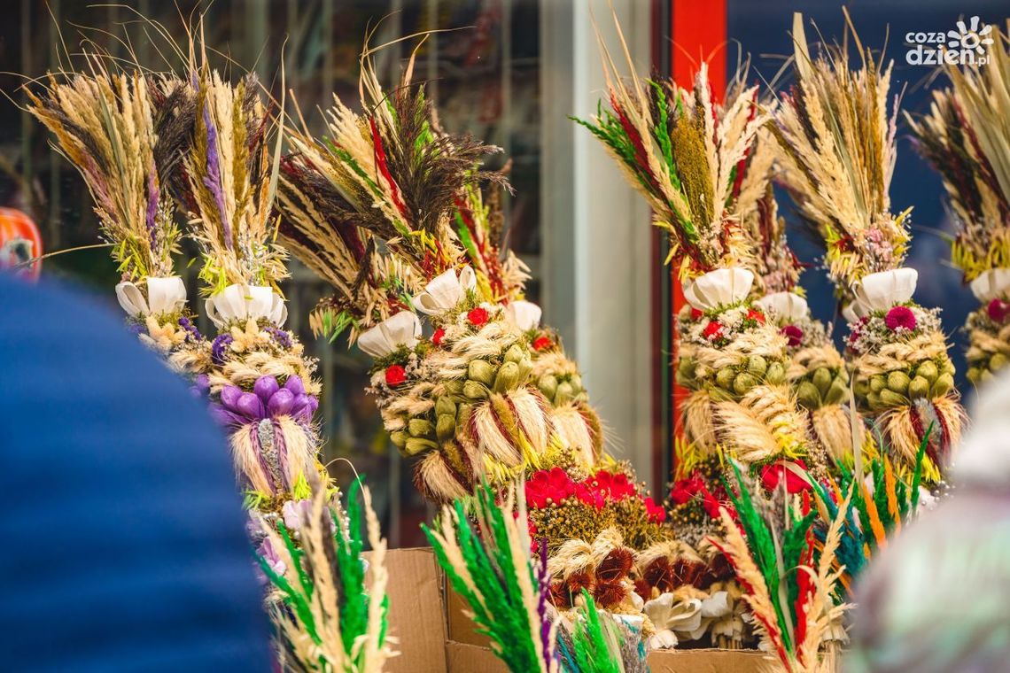 KOREJ pozostaje otwarta, zapraszamy!