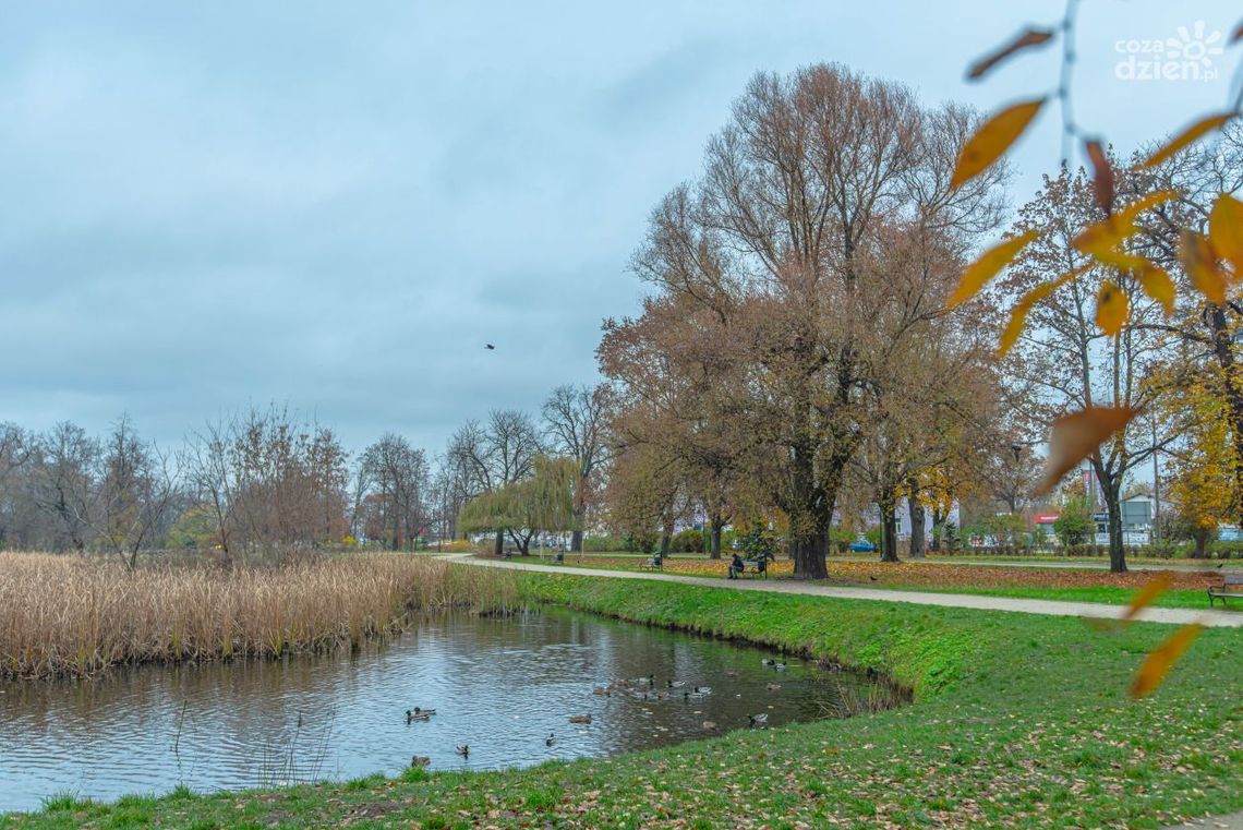 Korkowiec i inni Korkowiec i inni