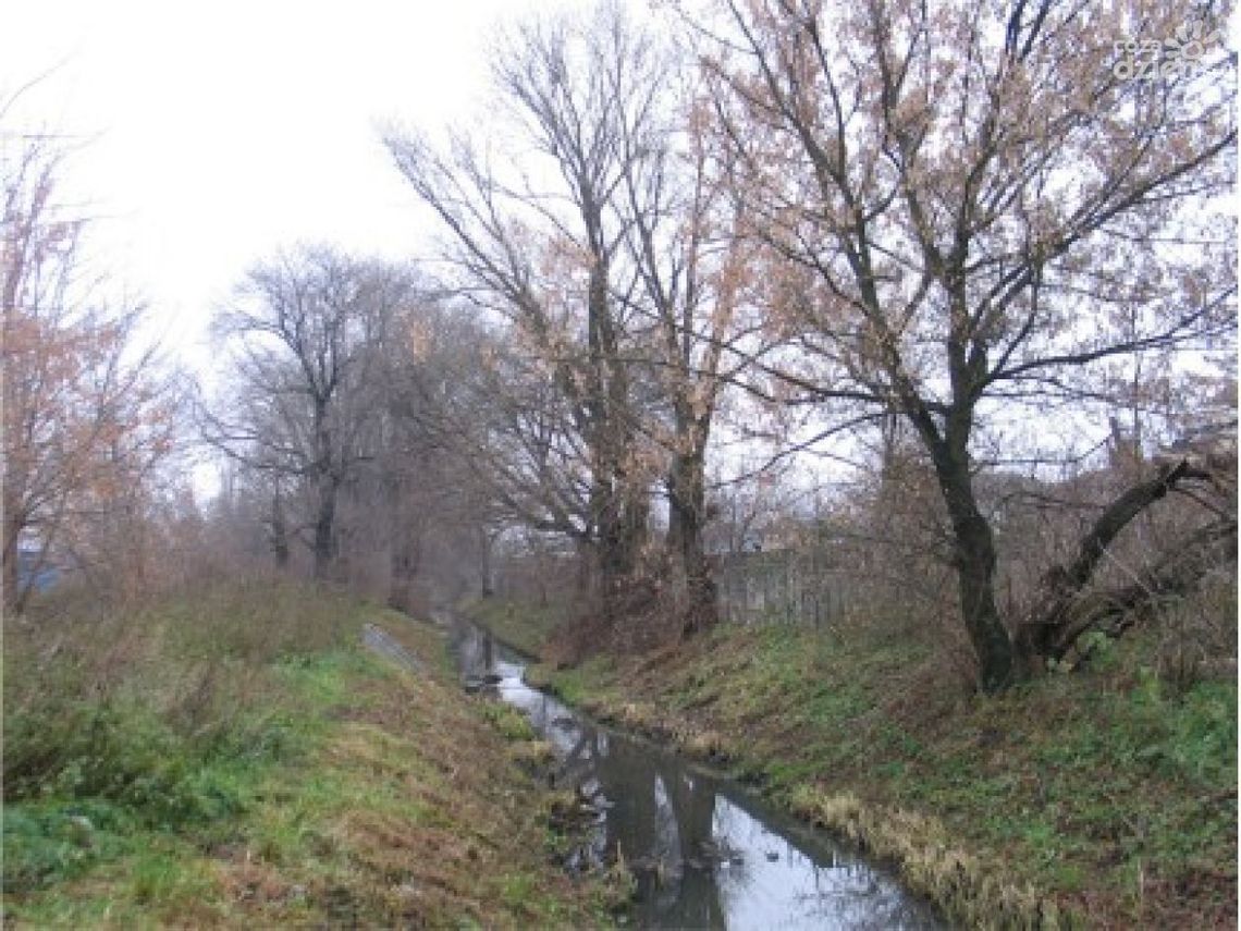 Koryto do remontu Koryto do remontu