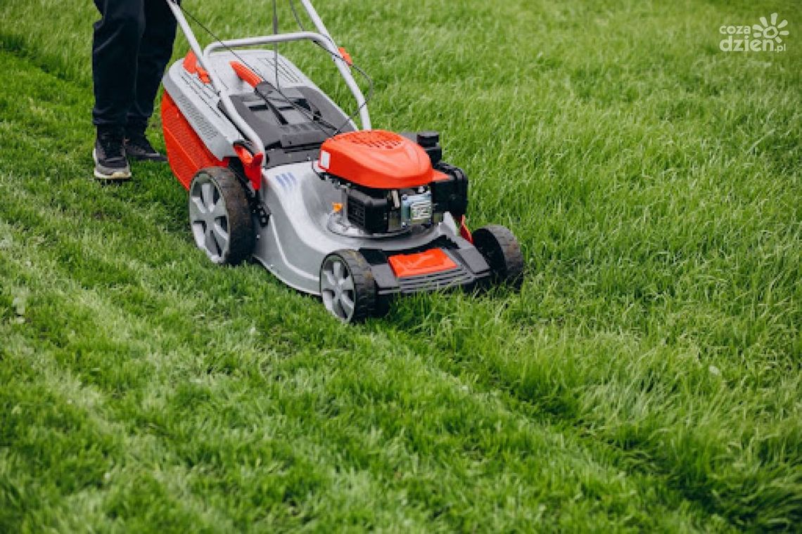 Kosiarka do trawy – jak wybrać najlepszą?