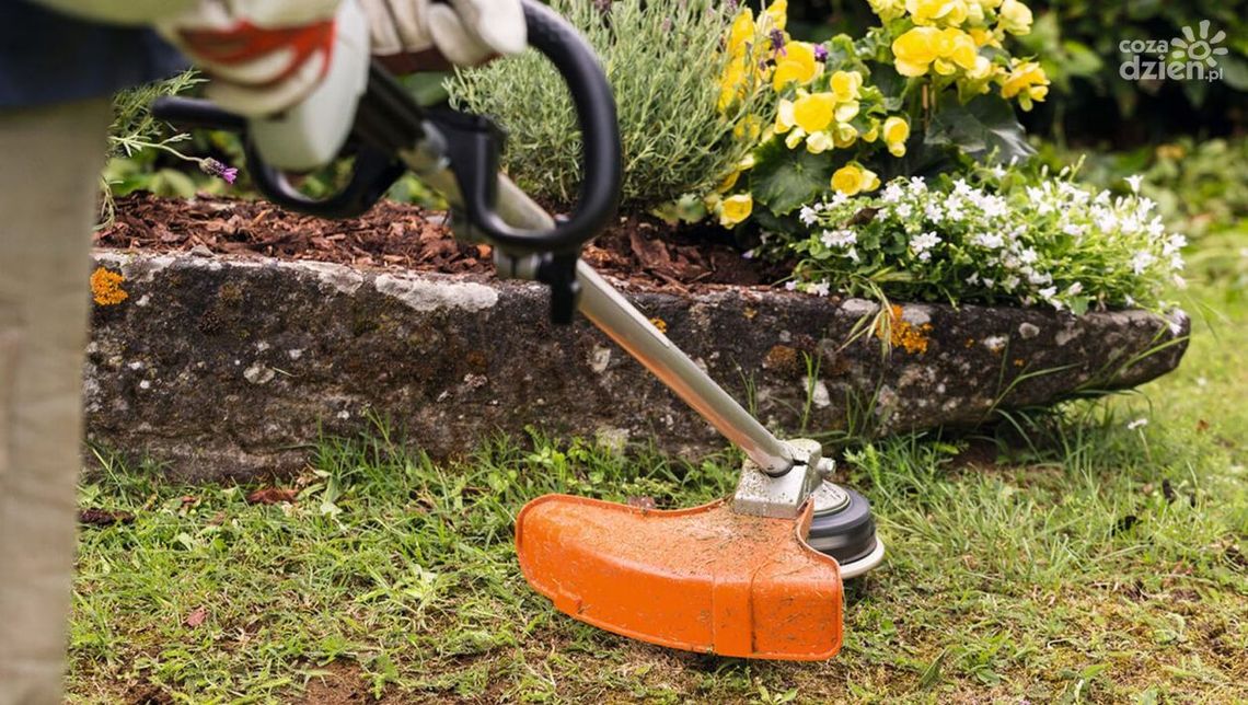 Kosiarki spalinowe STIHL - nie tylko dla profesjonalistów Kosiarki spalinowe STIHL - nie tylko dla profesjonalistów